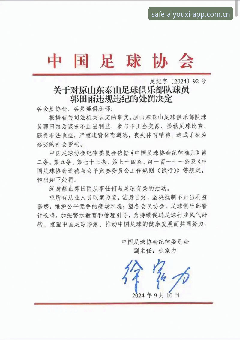 爱游戏全站唯一通道 新闻事件深度解析实战指南——从足协禁足名单看中国足球行业规范要点